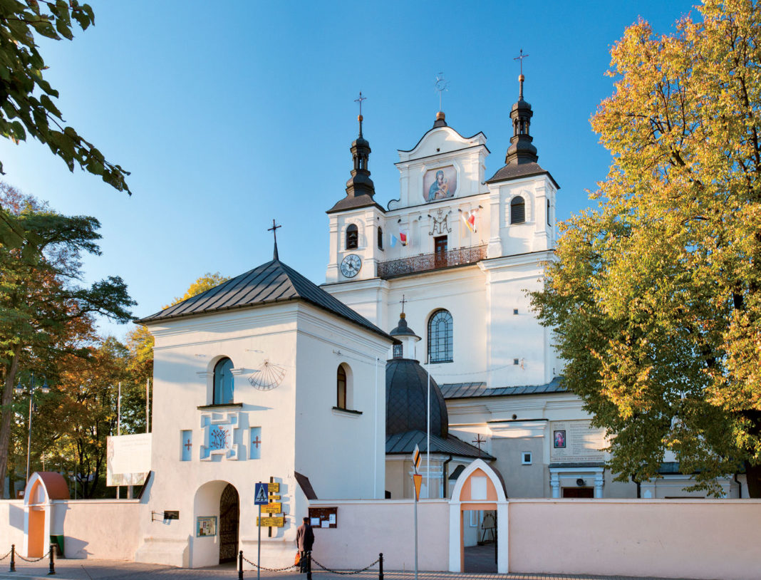 Left Image